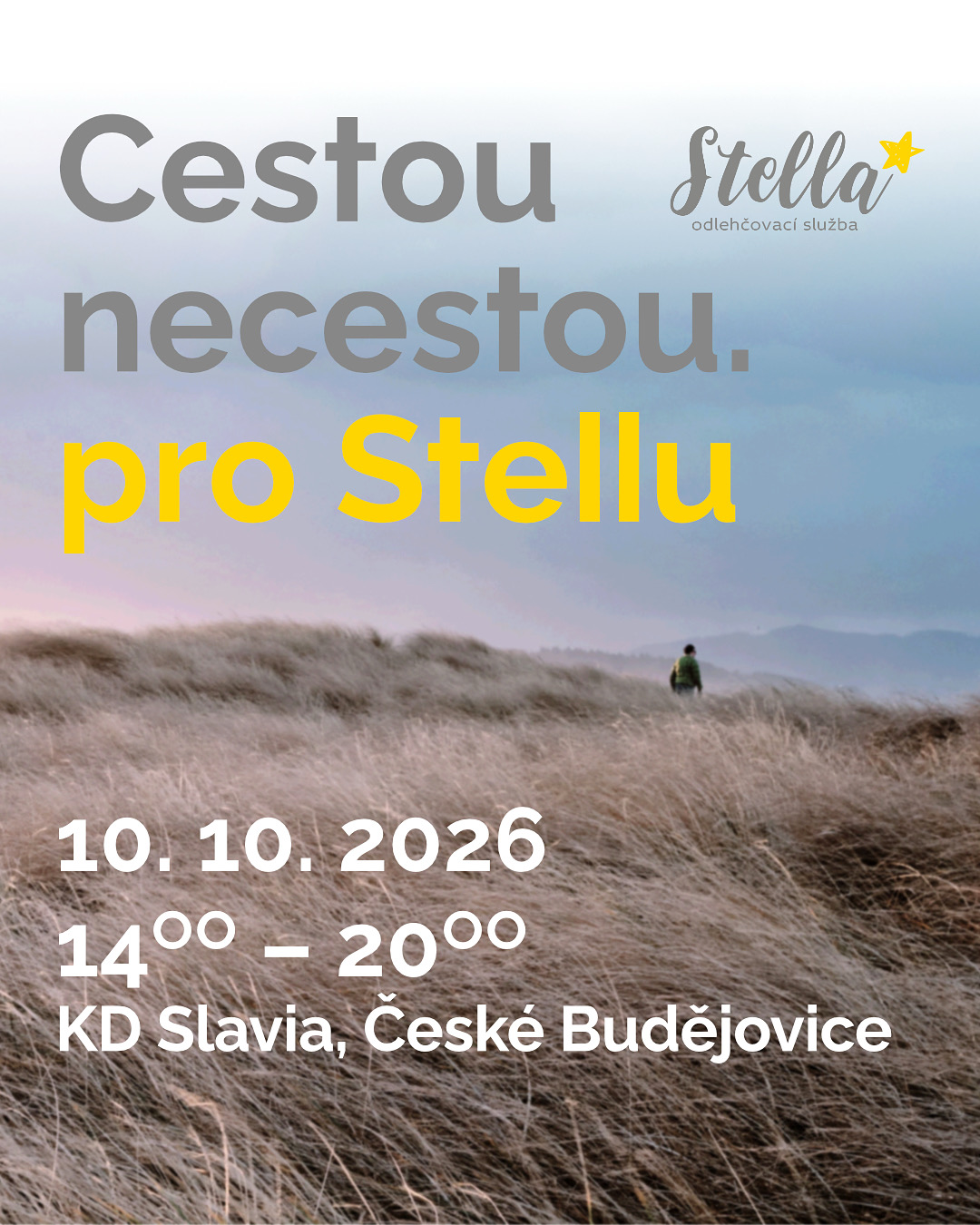Dobročinné odpoledne pro Stellu v KD Slávie